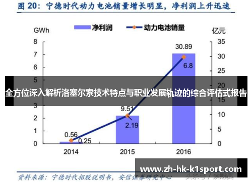 全方位深入解析洛塞尔索技术特点与职业发展轨迹的综合评估式报告