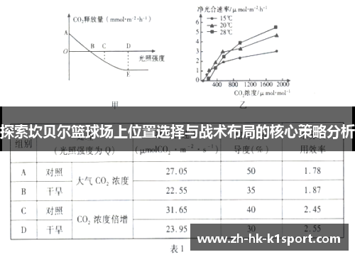 探索坎贝尔篮球场上位置选择与战术布局的核心策略分析 探索坎贝尔篮球场上位置选择与战术布局的核心策略分析