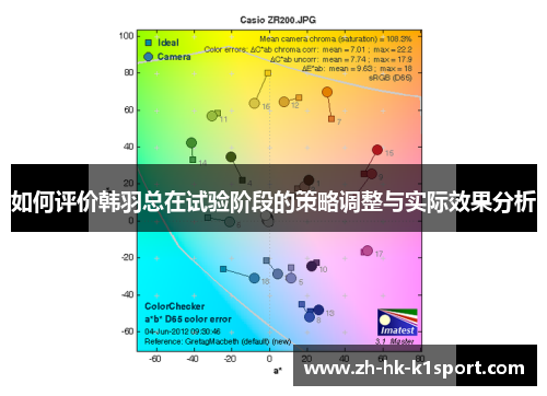 如何评价韩羽总在试验阶段的策略调整与实际效果分析