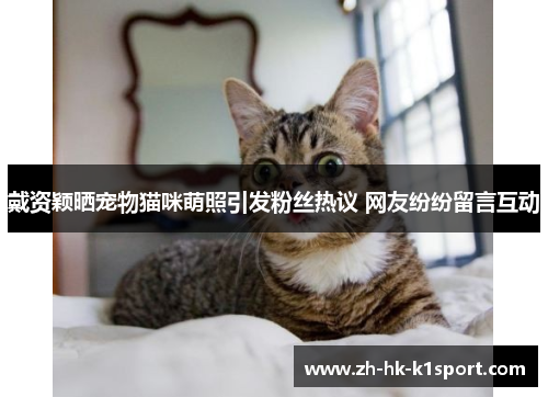 戴资颖晒宠物猫咪萌照引发粉丝热议 网友纷纷留言互动 戴资颖晒宠物猫咪萌照引发粉丝热议 网友纷纷留言互动