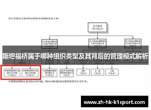 斯坦福桥属于哪种组织类型及其背后的管理模式解析 斯坦福桥属于哪种组织类型及其背后的管理模式解析