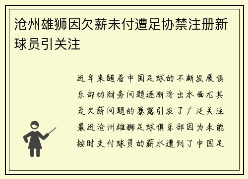 沧州雄狮因欠薪未付遭足协禁注册新球员引关注 沧州雄狮因欠薪未付遭足协禁注册新球员引关注
