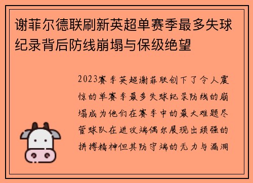 谢菲尔德联刷新英超单赛季最多失球纪录背后防线崩塌与保级绝望 谢菲尔德联刷新英超单赛季最多失球纪录背后防线崩塌与保级绝望